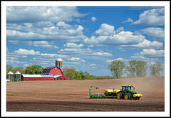 Michigan Farmlands