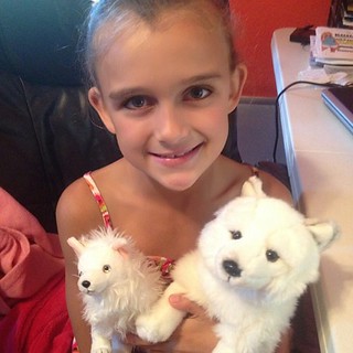 Went to lunch and stopped at a few garage sales with my girl today. She was so exited when the first one had these mom and baby Arctic Foxes. Her favorite animal!