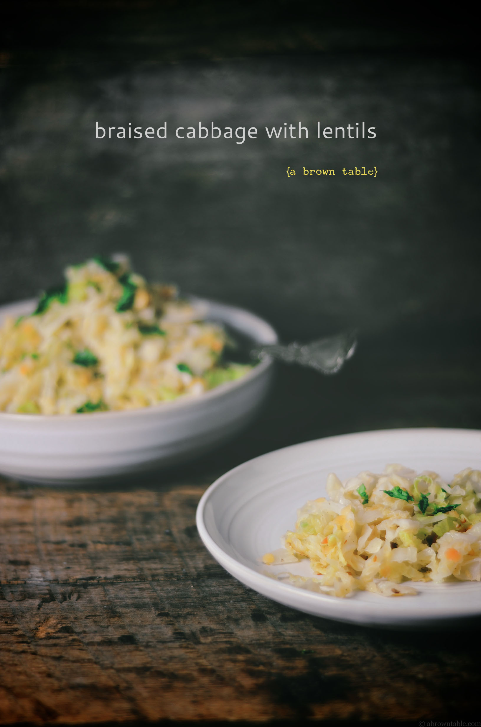 braised cabbage with lentils
