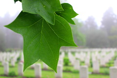 Canadian War cemeterie