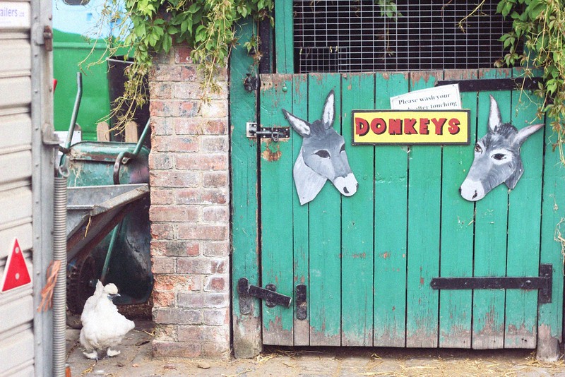donkey house