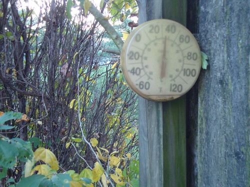 The temp for the photo shoot this morning 10/21/13