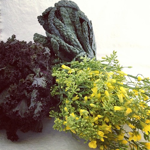 Kale! And kale flowers! And more kale! #sohotrightnow #octfoodphotos 16 | #toomuch? Never. Picked up at @sydneymarkets this morn
