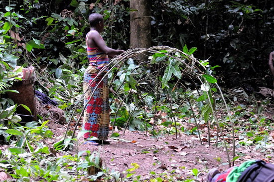 12.- En el “Infierno Verde” - Pigmeos y Gorilas, un paseo por la selva centroafricana (4)