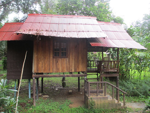 My Jungle hut