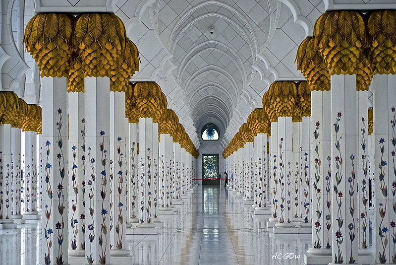 ¡Dubai, a la caza del Record Guinness! - Blogs de Emiratos A. U. - Mezquita de Abu Dhabi, Ferrari World y las fuentes de Dubai Mall (15)