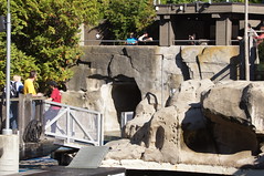 Vancouver Aquarium 2011