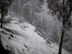 La nevada del 2007