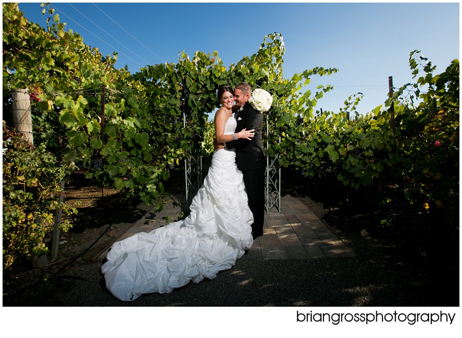 t&b_CROOKED_VINE_WEDDING_BRIAN_GROSS_PHOTOGRAPHY-184