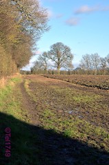 Afternoon walk round the fields