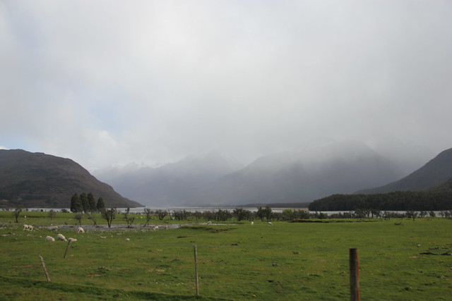 Nueva Zelanda, Aotearoa: El viaje de mi vida por la Tierra Media - Blogs de Nueva Zelanda - Día 19 - 18/10/15: Queenstown, Kawarau River, Glenorchy, Paradise y cumpleaños (110)
