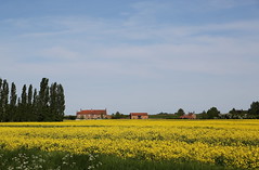 Norfolk Villages