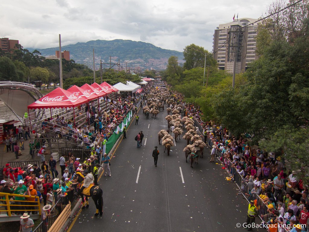 A view north shows the tail end of the parade, featuring donkeys