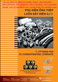 ong thep luon day dien - steel conduit 15