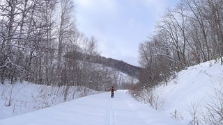 x-country ski