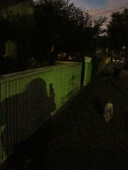 "Gillon Oval Walk at night"