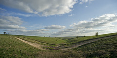 Salisbury Plain