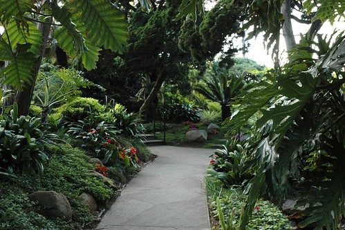 Garden path, surrounded by green, Self-realization Fellowship Meditation Garden, Encinitas, California, USA by Wonderlane
