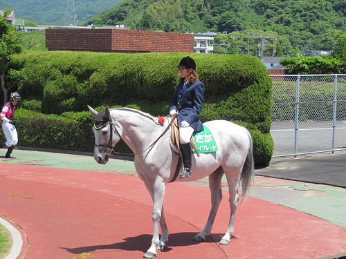 佐賀競馬場の誘導馬ボーイフレンド