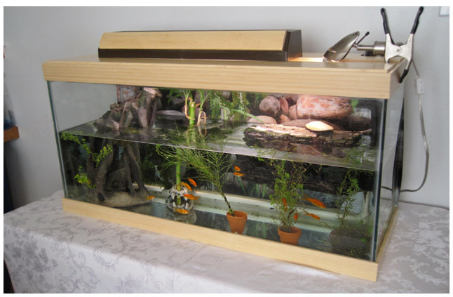 Bamboo Fish Tank 05