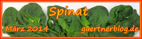 Garten-Koch-Event März 2014: Spinat [31.03.2014]