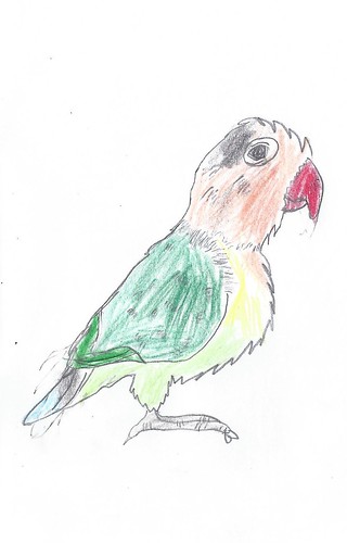 Emma's Parrot- 20Mar14