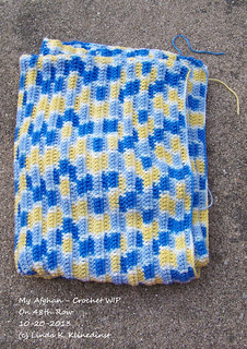 100_8926 - My Afghan - Crochet WIP - on 48th Row - 10-20-2013