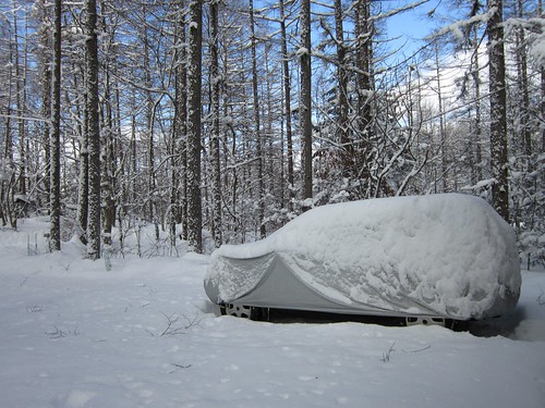 雪をかぶったマイカー　2014年1月9日9：27 by Poran111