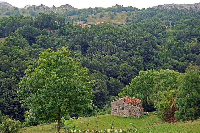 Valle de Miera (Cantabria)