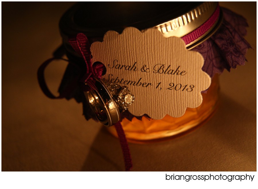 BlakeAndSarah_Wedding_BrianGrossPhotography-302