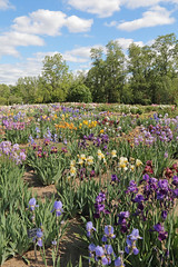 Royal Botanical Gardens, Hamilton/Burlington, ON