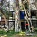 Case Study N0.8 The Eames House