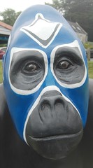 Great Gorillas Trail Torbay and Exeter in Devon 2013