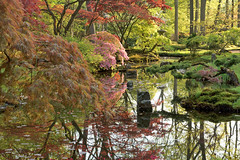 Clingendael Park - Japanese Garden