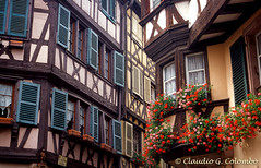 Alsace / Alsazia