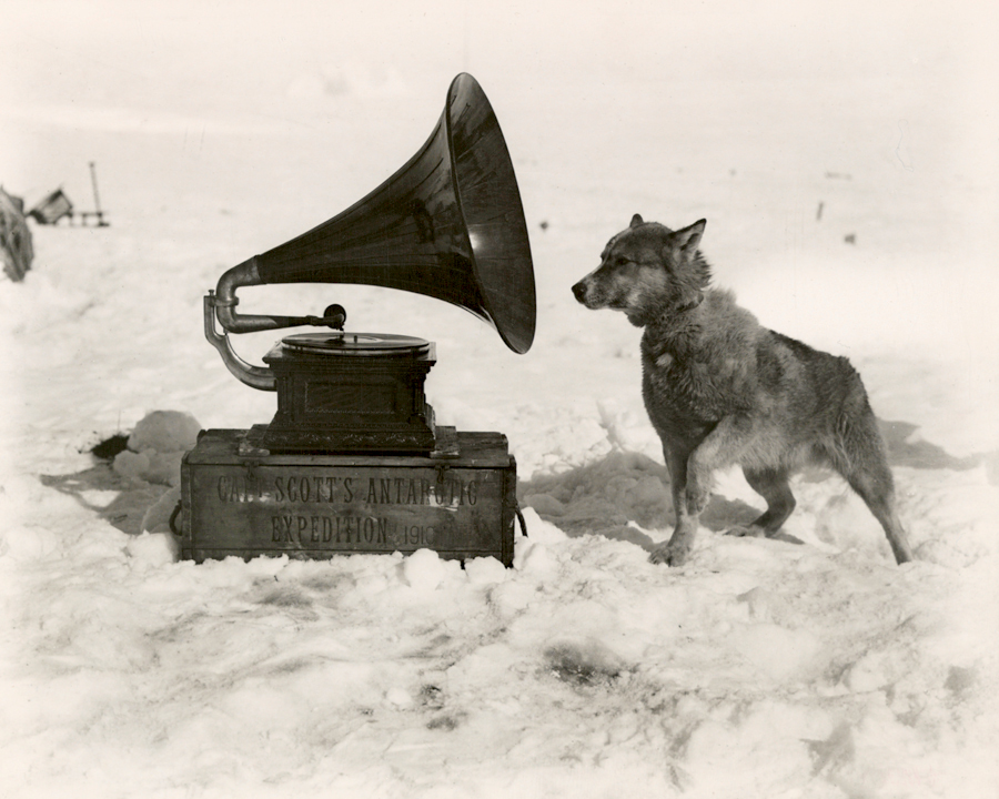 To entertain the men, Captain Robert Scott took a gramophone on his South Pole Expedition. Chris, one of his dogs, was apparently also a fan, September 1911