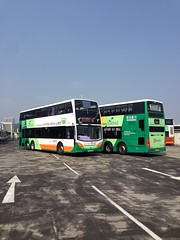 Citybus 8401 & NWFB 5600 Hybrid