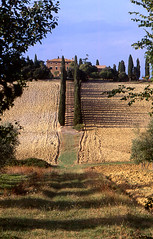 Tuscany 1999