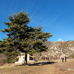 Trail de Massoins (reco)