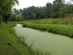 Green stream