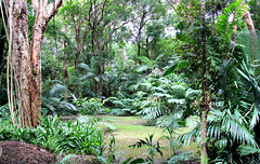 cairns - botanic gardens
