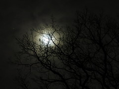 Nighttime/Darkness