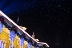 Walt Disney World, November 2014