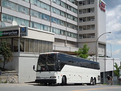 Autobus bus