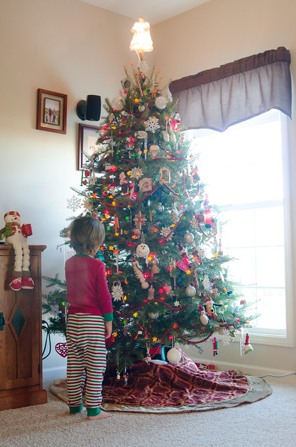 20141207-Decorating-the-Christmas-Tree-5811