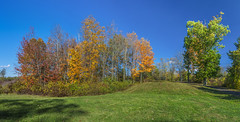 Autumn at Pistol Creek II