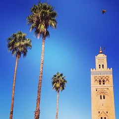 Marrakech (مراكش)
