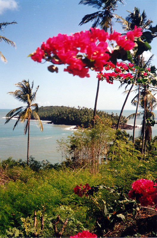 guyane, îles du salut