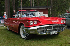 US Classic Car Meeting 2008 in Arvika, Sweden