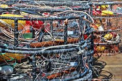 Fishing, Crabbing Nets/Traps/Pots